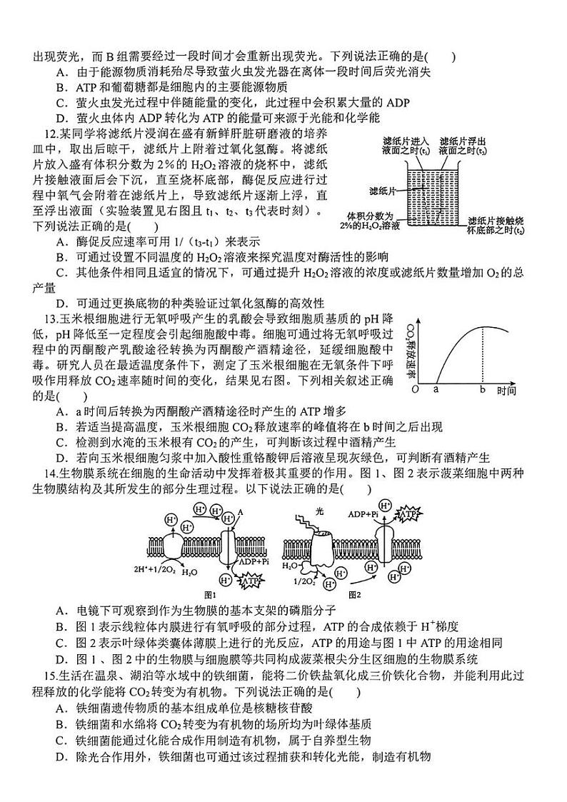 辽宁省辽南协作校2024-2025学年高一上学期期末考试生物试卷第3页