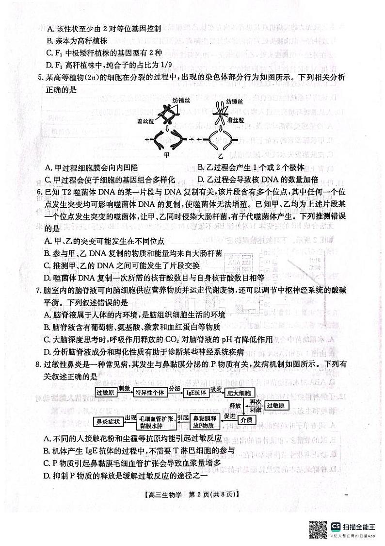 辽宁省辽阳市2024-2025学年高三上学期1月期末考试生物试题第2页