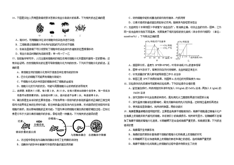 吉林省普通高中G8教考联盟2024-2025学年高一上学期期末考试生物试卷（Word版附解析）第3页