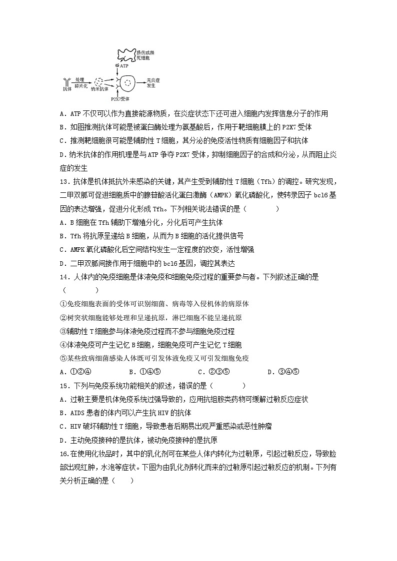 黑龙江省双鸭山市2023_2024学年高二生物上学期12月月考试题第3页