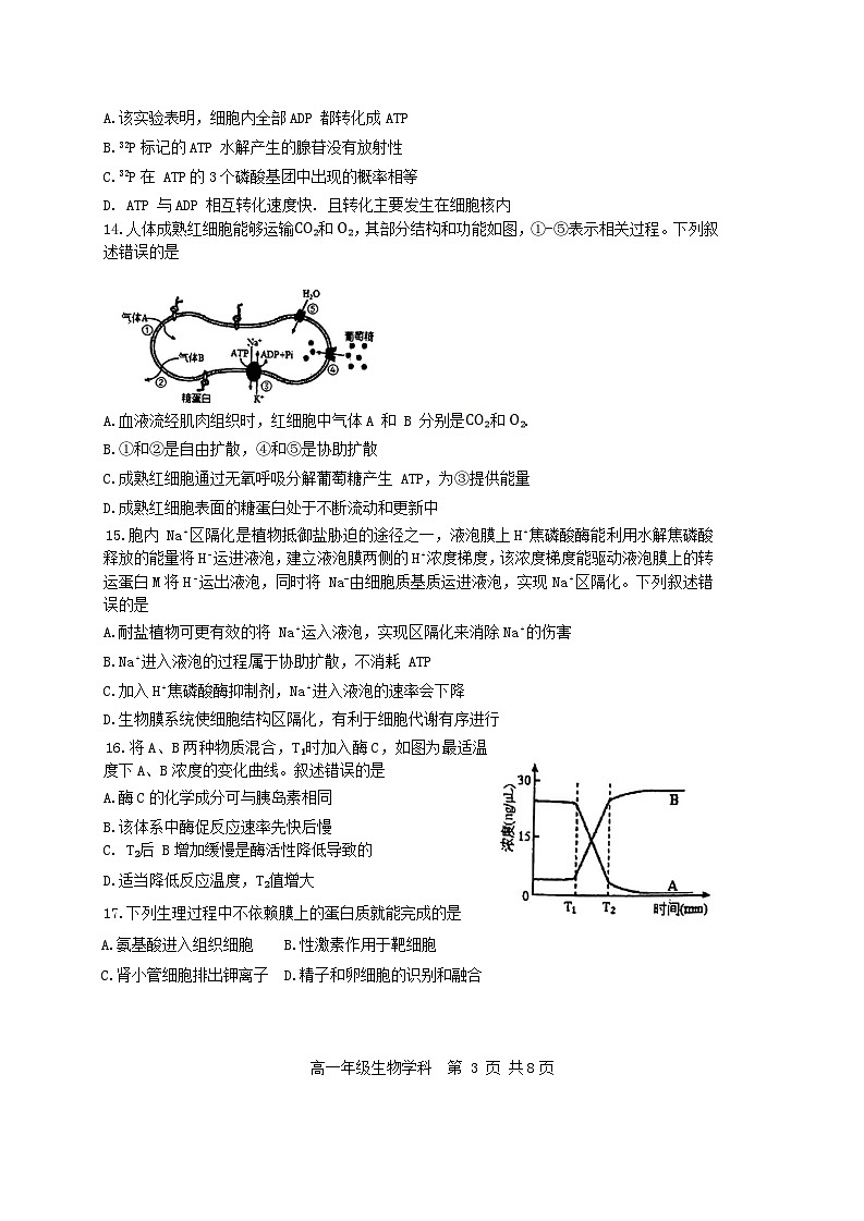 天津市2023_2024学年高一生物上学期12月月考试题第3页
