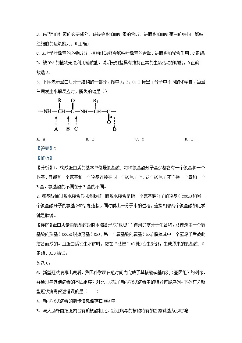 天津市2023_2024学年高一生物上学期期中联考试题含解析第3页