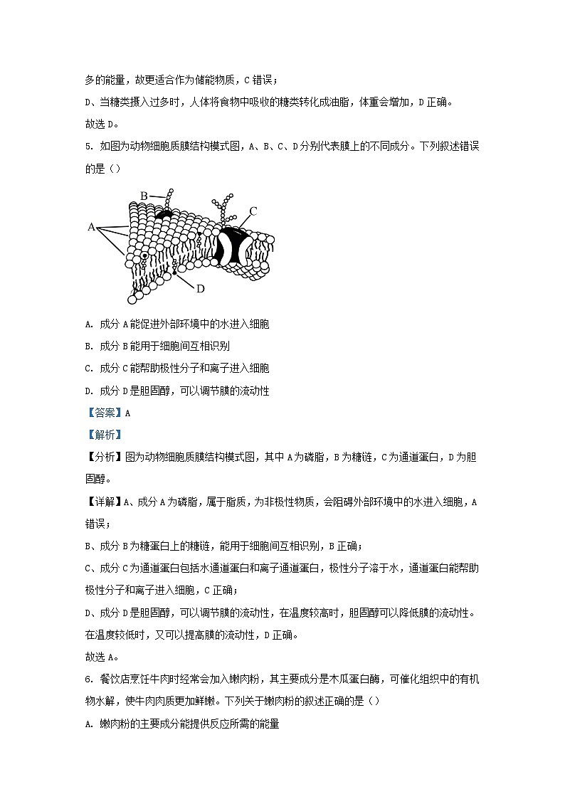 浙江省2023_2024学年高一生物上学期12月月考题含解析第3页