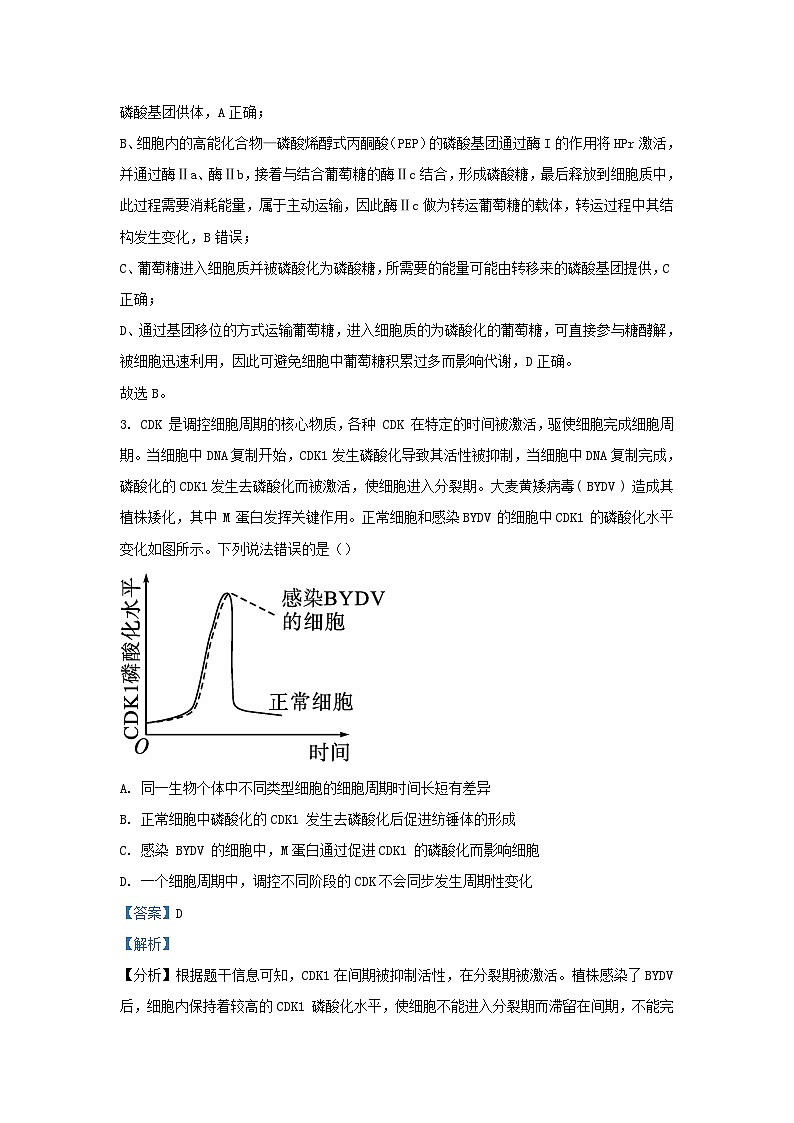 重庆市2023_2024学年高三生物上学期适应性月考三试题含解析第3页