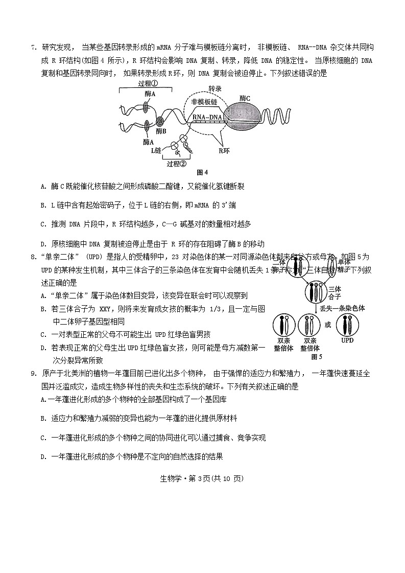 重庆市2023_2024学年高三生物上学期适应性月考五无答案第3页