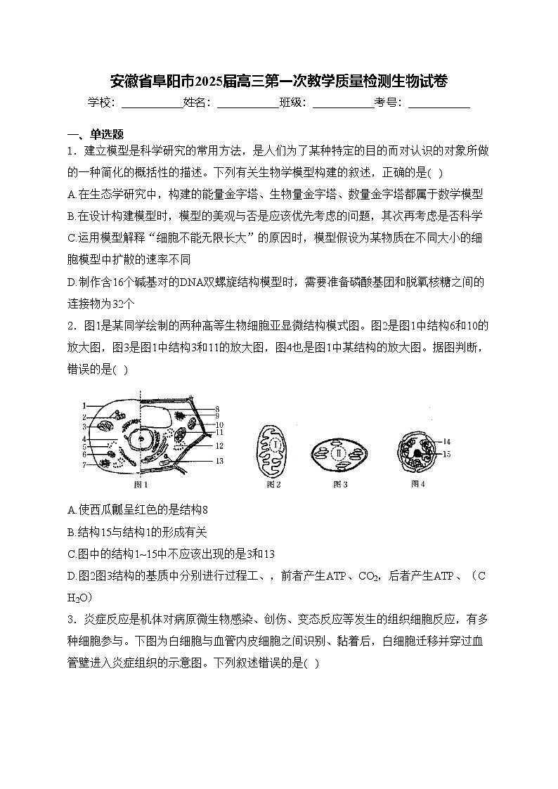 安徽省阜阳市2025届高三第一次教学质量检测生物试卷(含答案)第1页