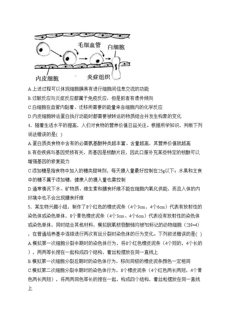 安徽省阜阳市2025届高三第一次教学质量检测生物试卷(含答案)第2页