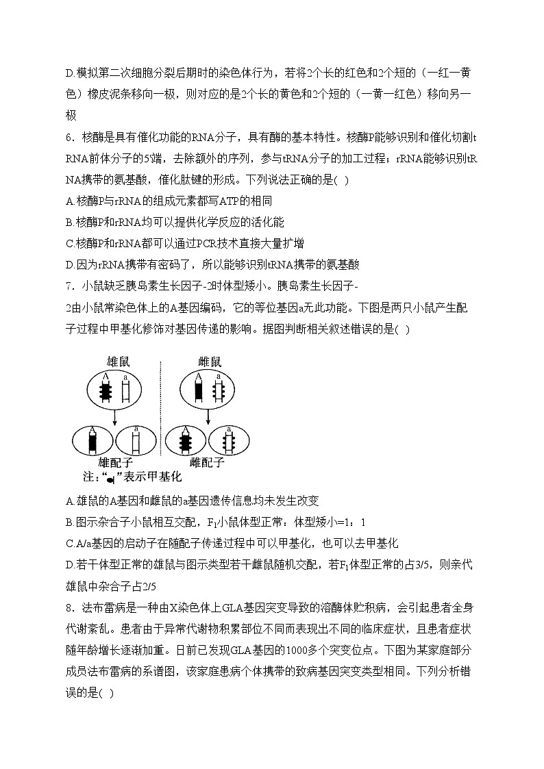 安徽省阜阳市2025届高三第一次教学质量检测生物试卷(含答案)第3页