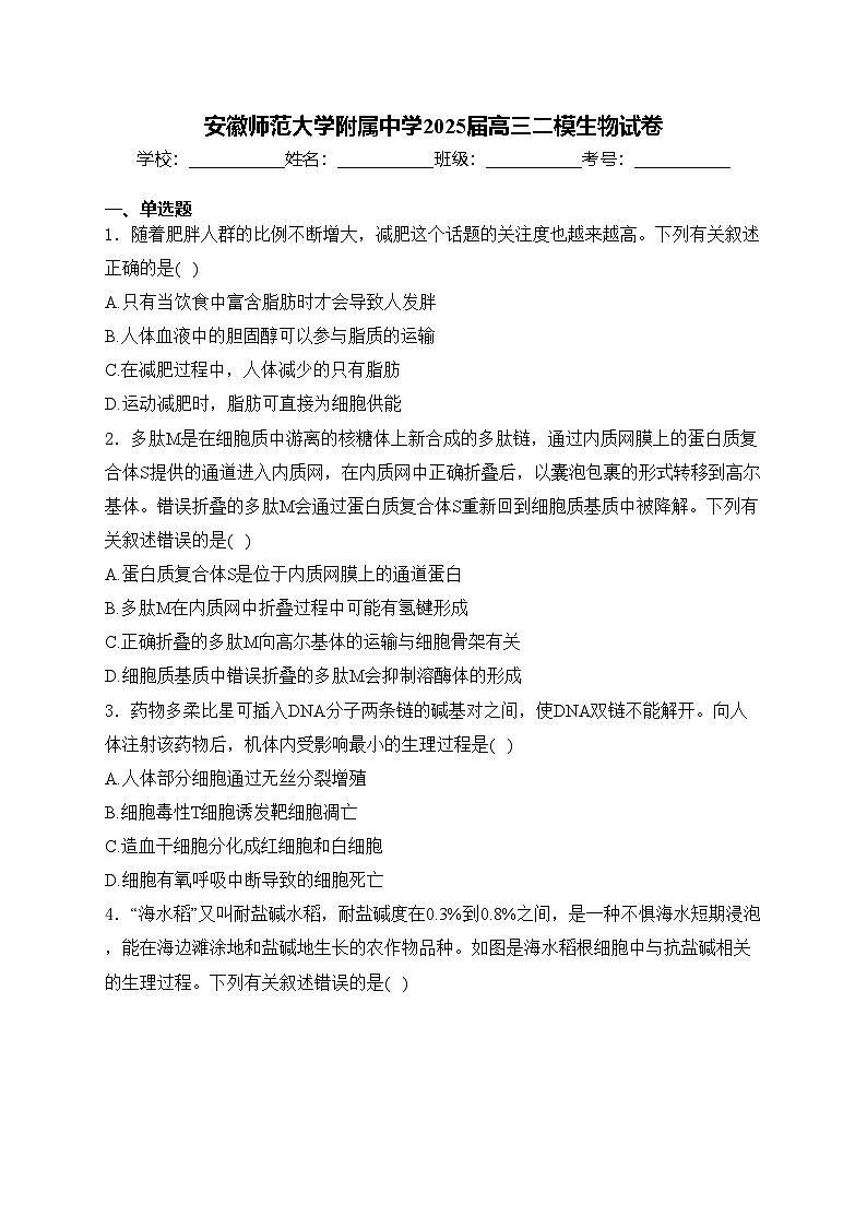 安徽师范大学附属中学2025届高三二模生物试卷(含答案)第1页