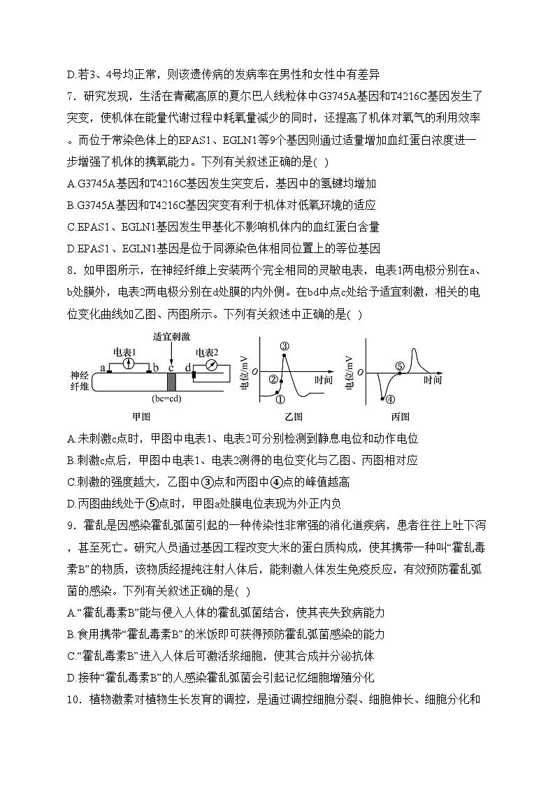 安徽师范大学附属中学2025届高三二模生物试卷(含答案)第3页