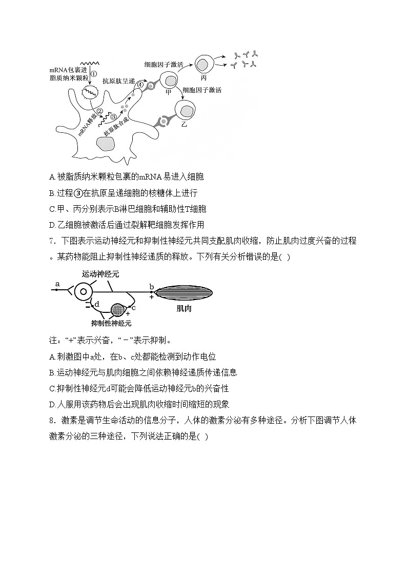 白城市第一中学2024-2025学年高二上学期期末考试生物试卷(含答案)第3页