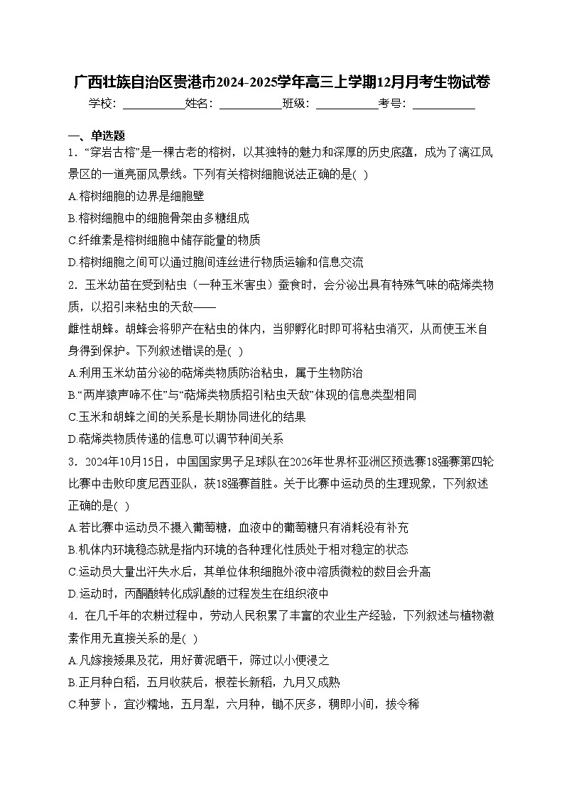 广西壮族自治区贵港市2024-2025学年高三上学期12月月考生物试卷(含答案)第1页