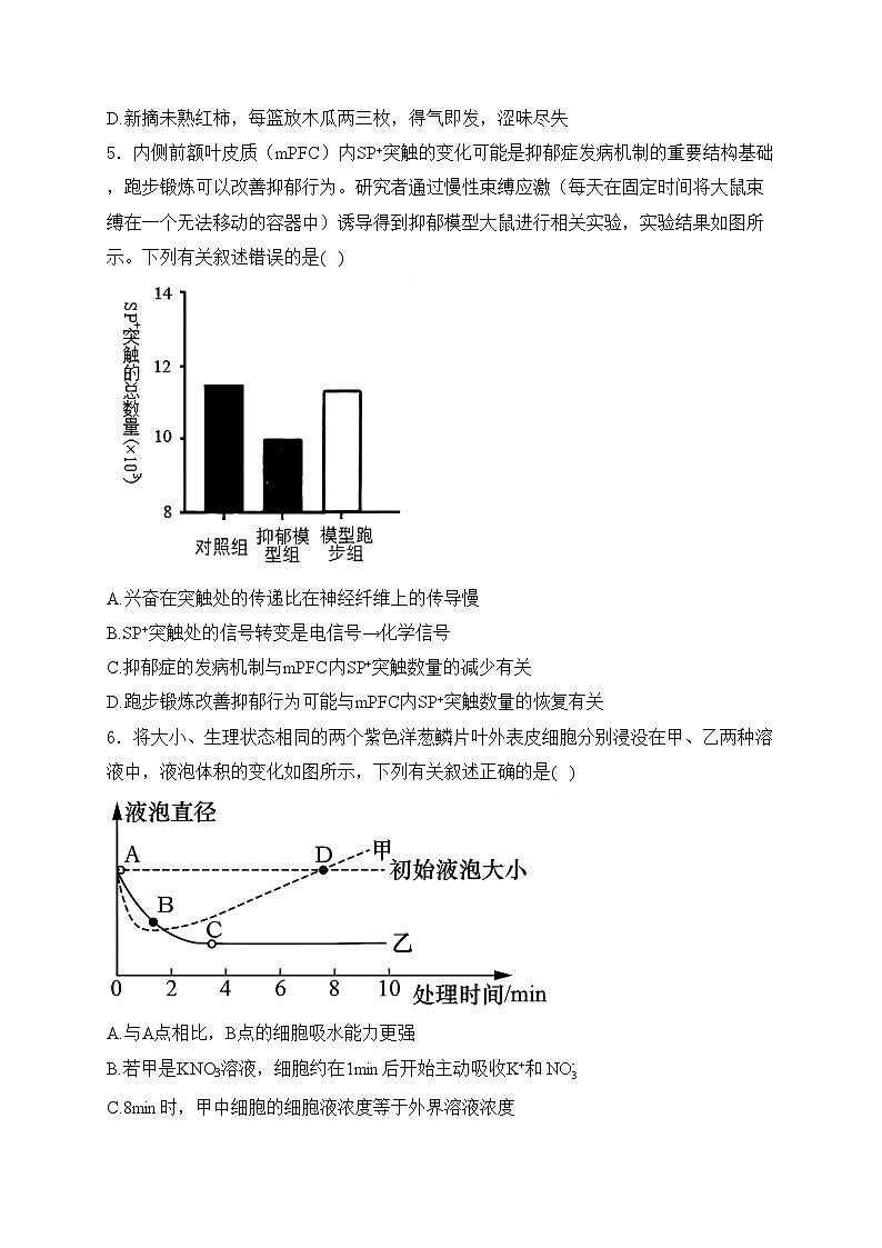 广西壮族自治区贵港市2024-2025学年高三上学期12月月考生物试卷(含答案)第2页