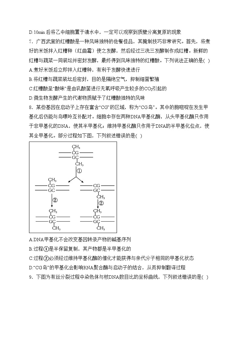 广西壮族自治区贵港市2024-2025学年高三上学期12月月考生物试卷(含答案)第3页