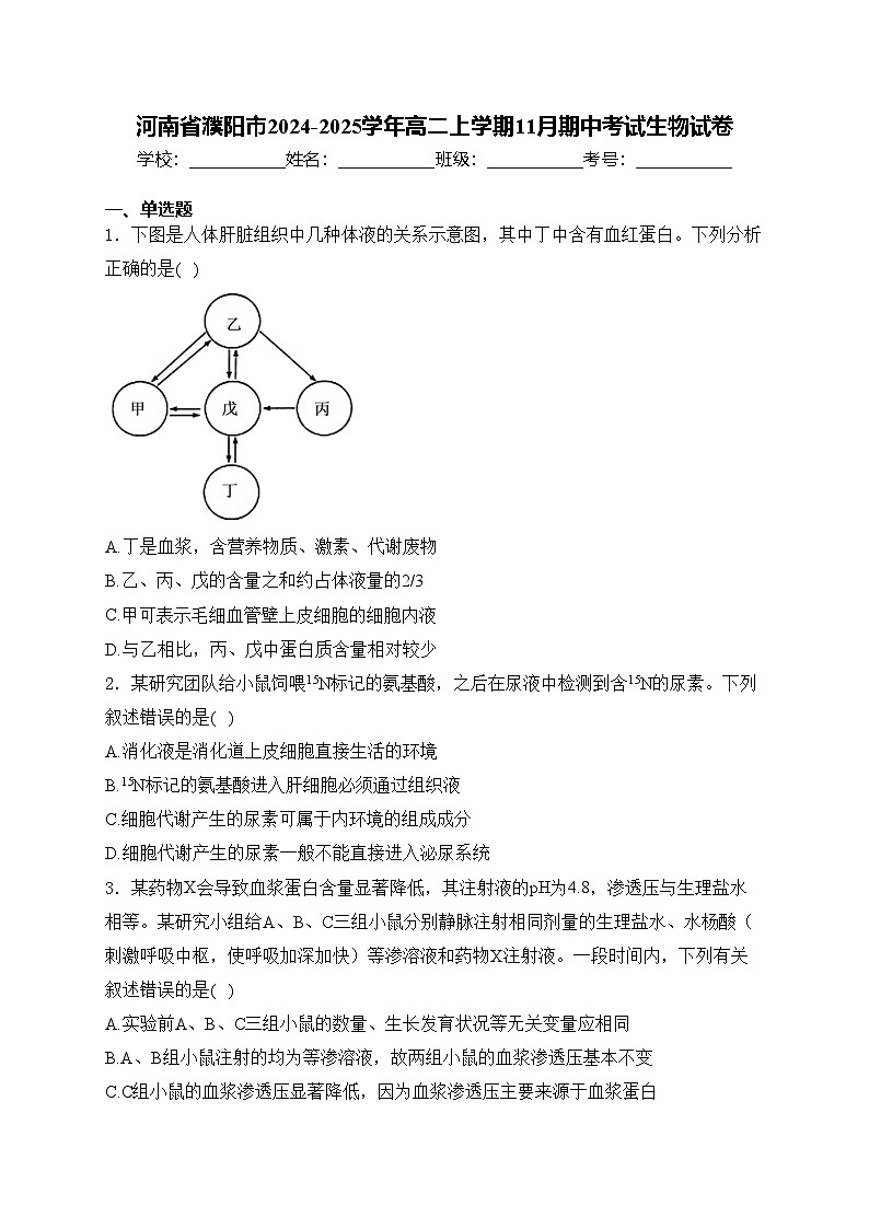 河南省濮阳市2024-2025学年高二上学期11月期中考试生物试卷(含答案)第1页