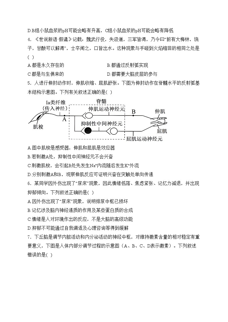 河南省濮阳市2024-2025学年高二上学期11月期中考试生物试卷(含答案)第2页