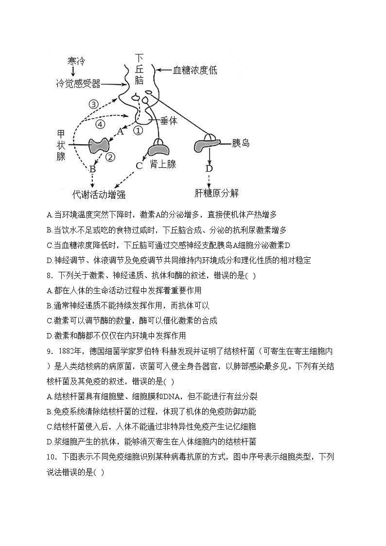 河南省濮阳市2024-2025学年高二上学期11月期中考试生物试卷(含答案)第3页