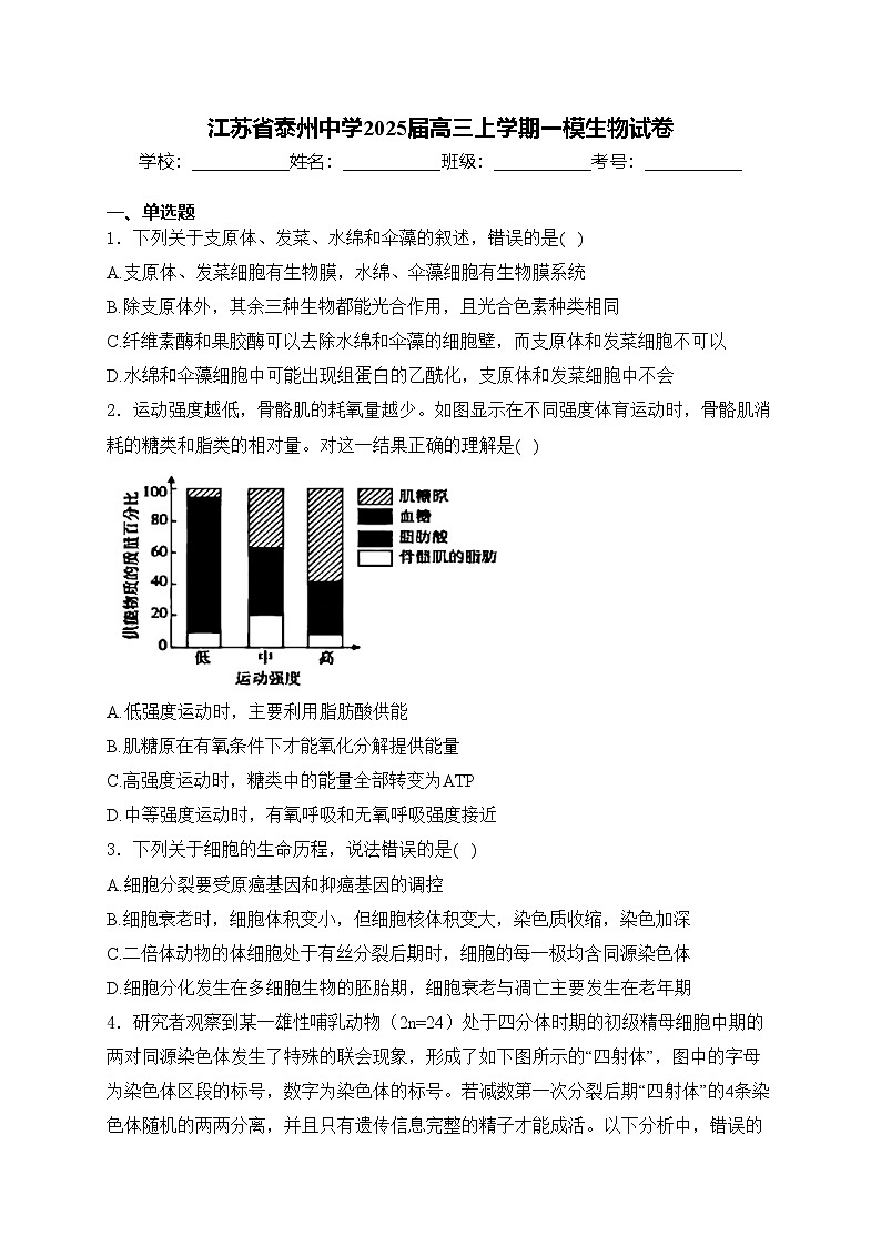 江苏省泰州中学2025届高三上学期一模生物试卷(含答案)第1页