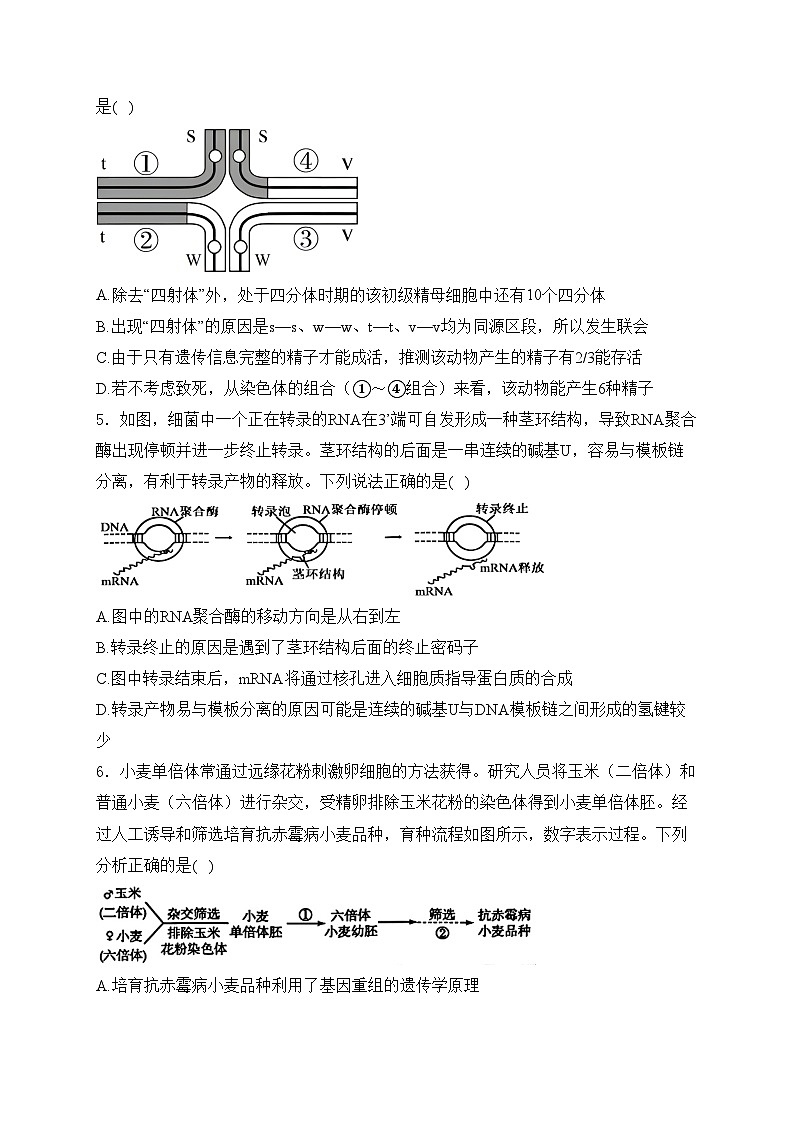 江苏省泰州中学2025届高三上学期一模生物试卷(含答案)第2页