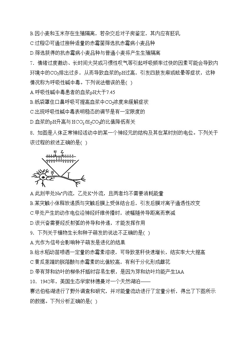 江苏省泰州中学2025届高三上学期一模生物试卷(含答案)第3页