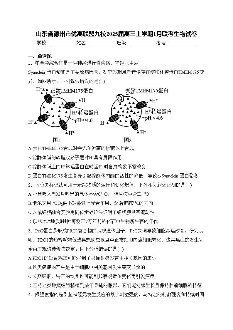 山东省德州市优高联盟九校2025届高三上学期1月联考生物试卷(含答案)第1页