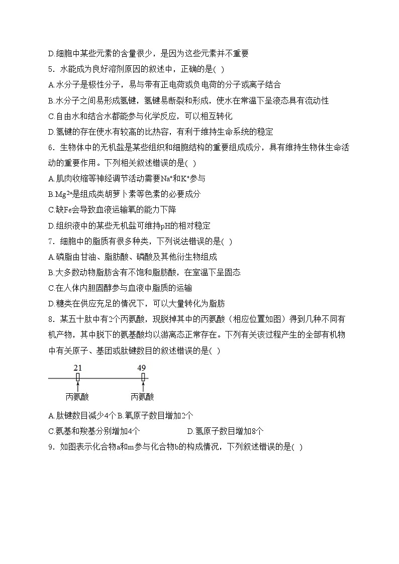 长春市第八中学2024-2025学年高一上学期期末考试生物试卷(含答案)第2页
