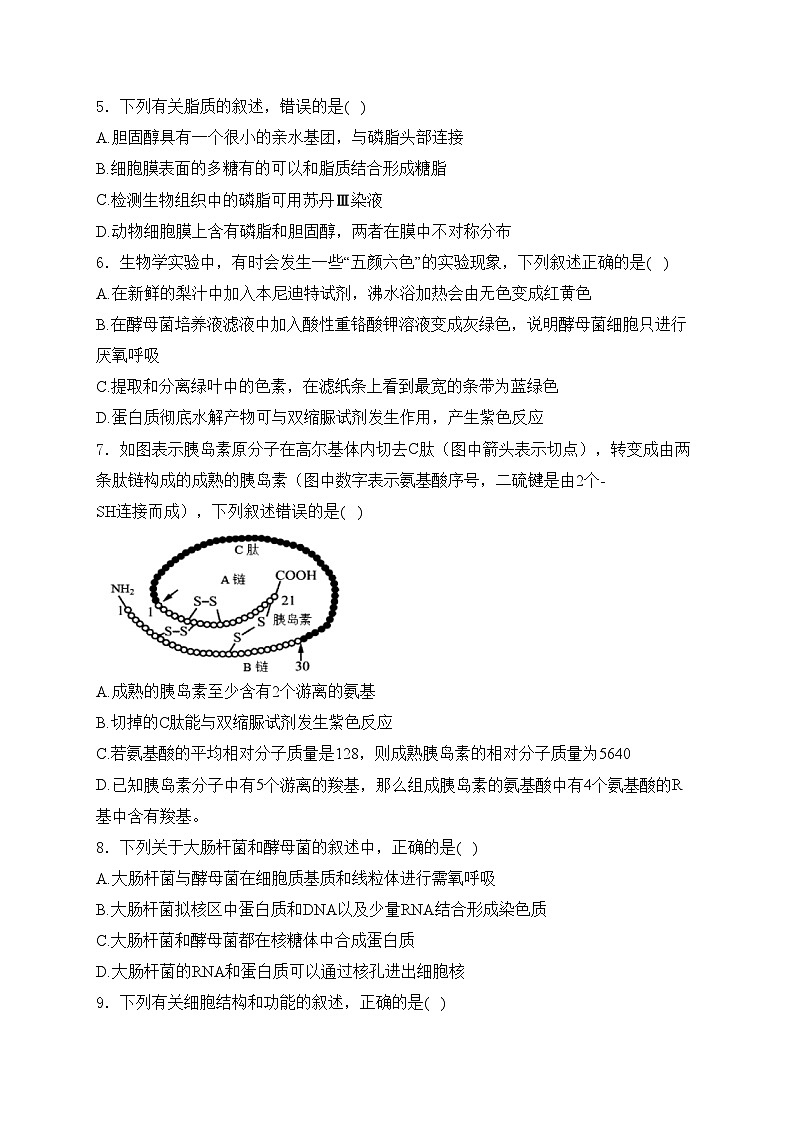浙江省金华市卓越联盟2024-2025学年高一上学期12月阶段性联考生物试卷(含答案)第2页