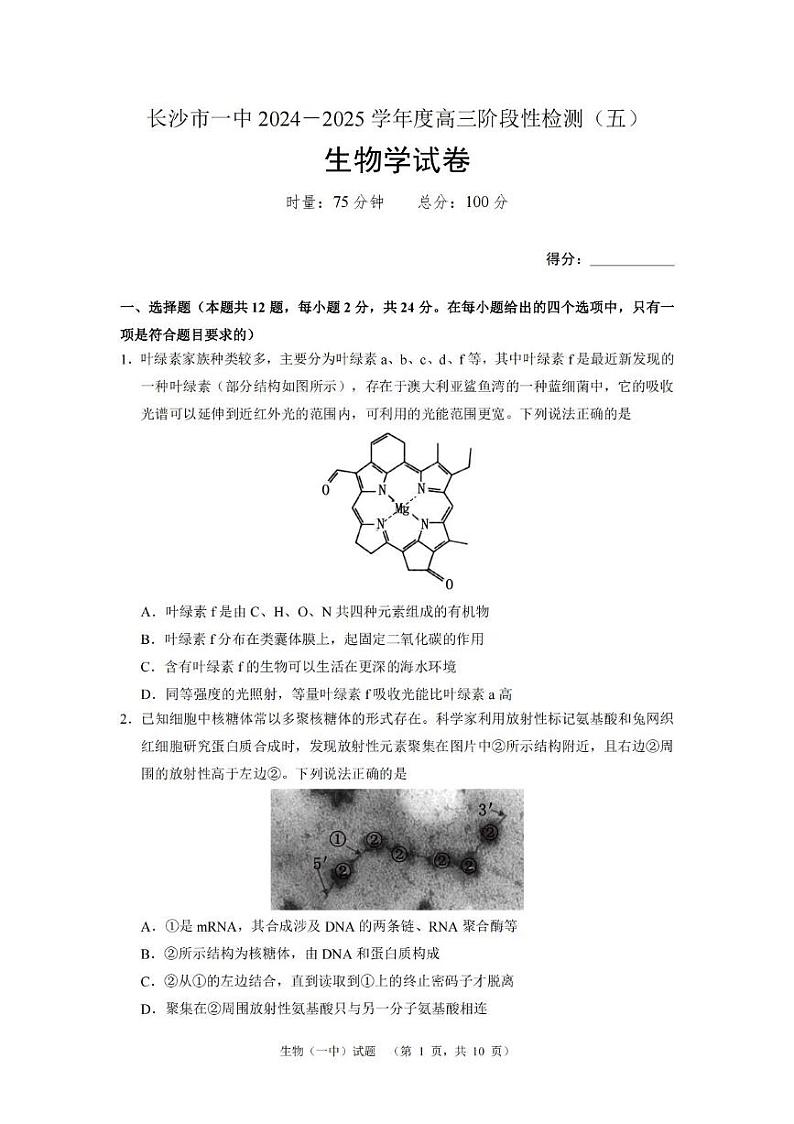 湖南省长沙市第一中学2025届高三上学期12月阶段性检测（五）-生物试题+答案第1页