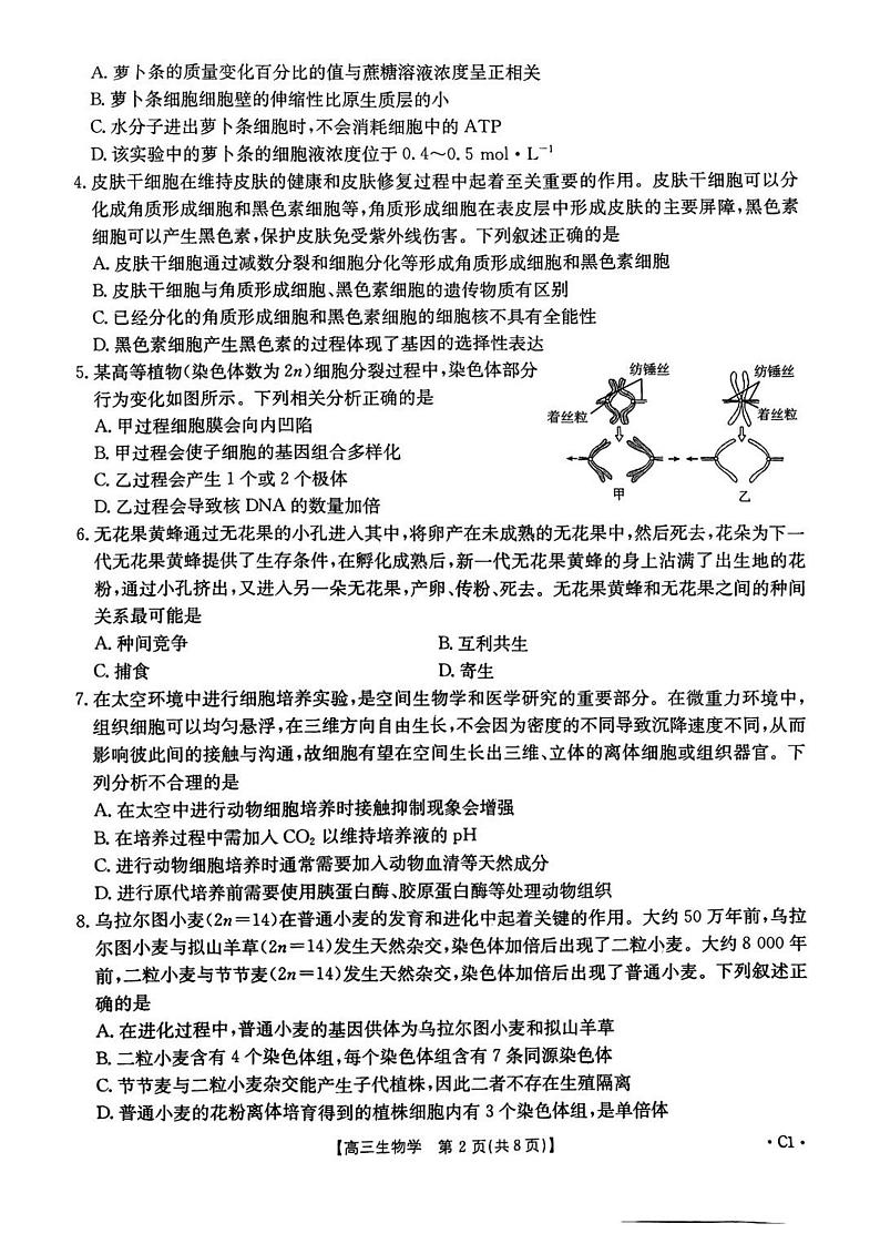 河北省邢台市金太阳2025届高三上学期12月考生物+答案第2页