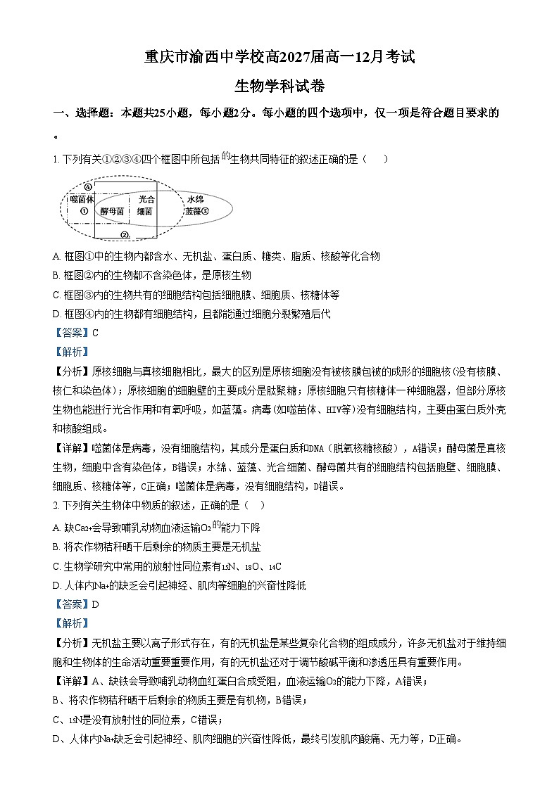 重庆市渝西中学2024-2025学年高一上学期12月月考生物试卷（Word版附解析）第1页