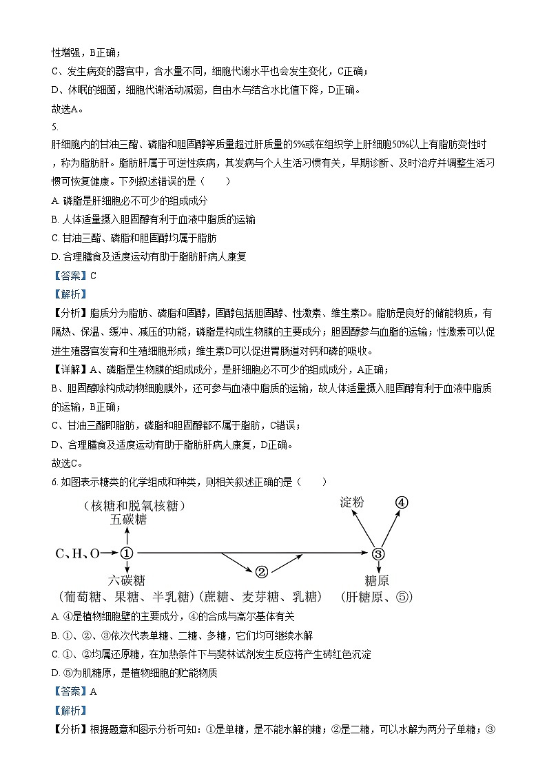 重庆市渝西中学2024-2025学年高一上学期12月月考生物试卷（Word版附解析）第3页