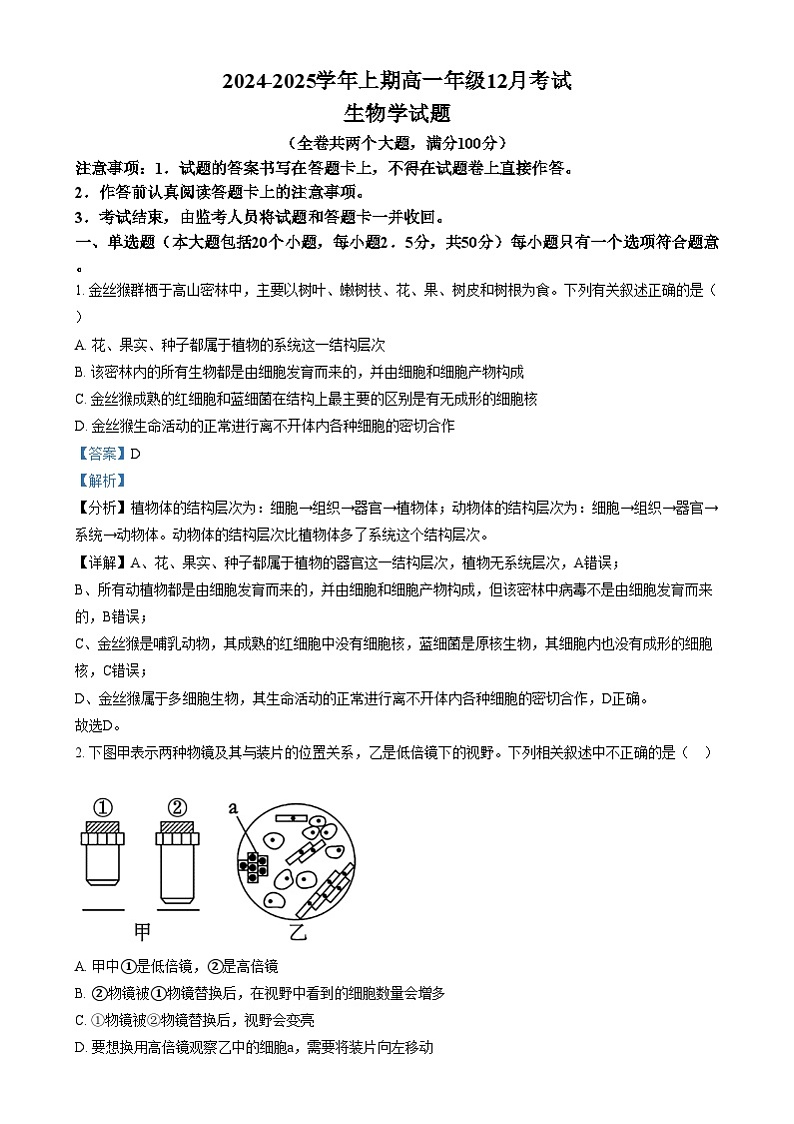 重庆市南坪中学2024-2025学年高一上学期12月月考生物试卷（Word版附解析）第1页