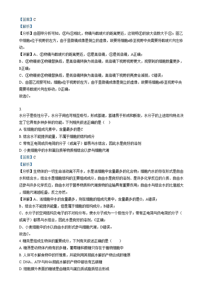 重庆市南坪中学2024-2025学年高一上学期12月月考生物试卷（Word版附解析）第2页