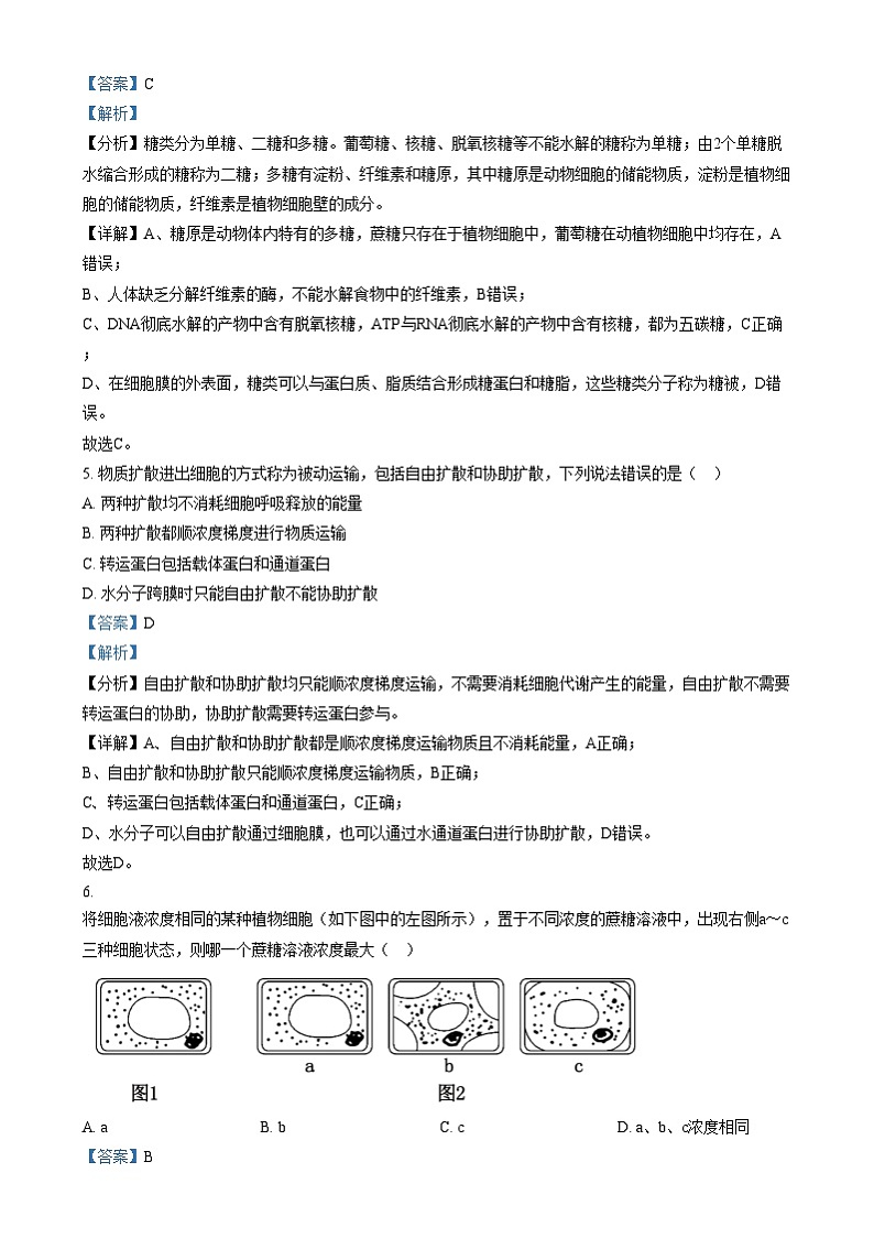 重庆市南坪中学2024-2025学年高一上学期12月月考生物试卷（Word版附解析）第3页
