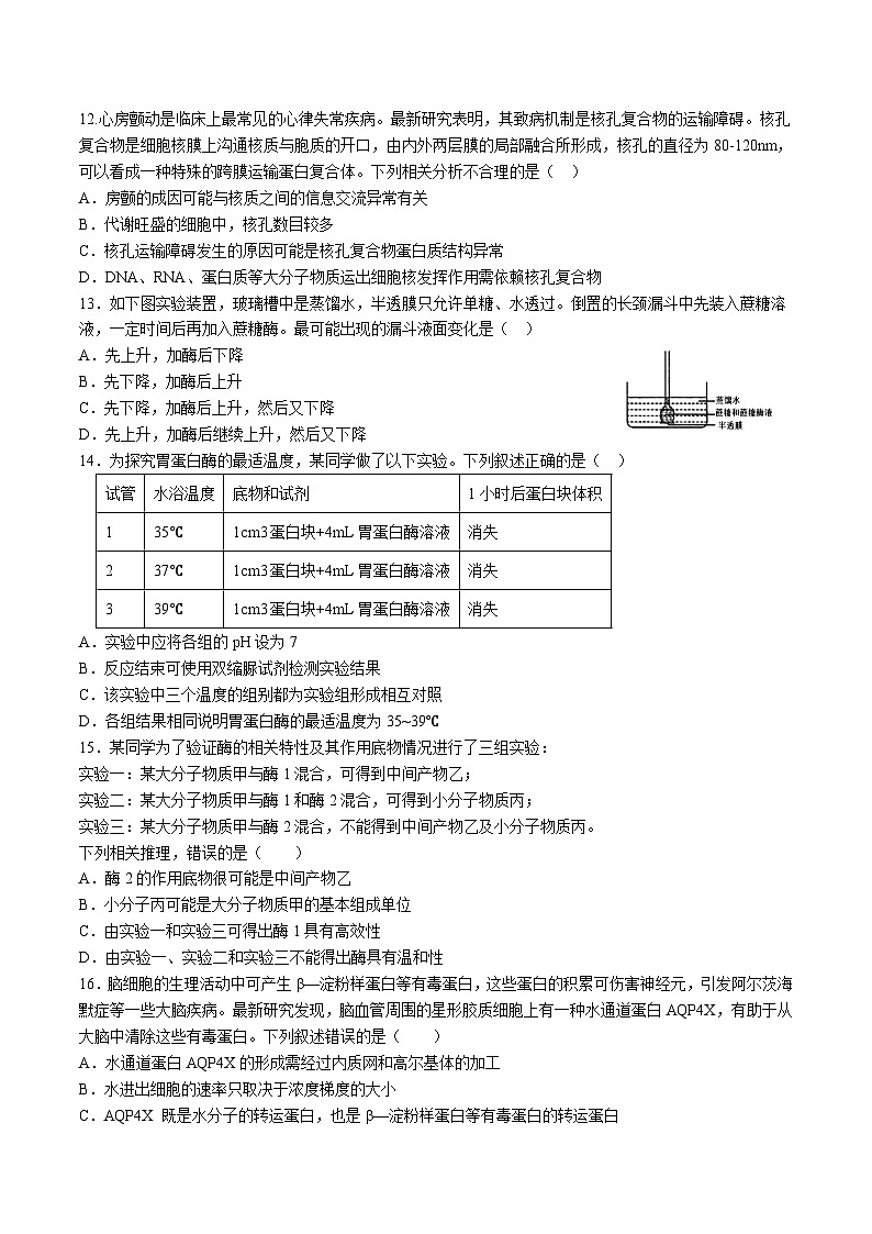 天津市静海区第一中学2024-2025学年高一上学期12月学生学业能力调研生物试卷（Word版附答案）第3页