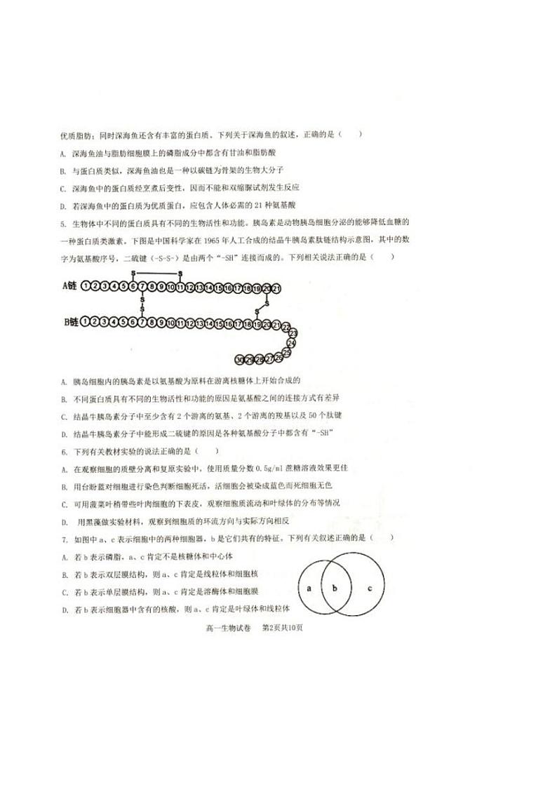 辽宁省抚顺市省重点高中六校协作体2024-2025学年高一上学期期末考试生物试卷（PDF版附答案）第2页