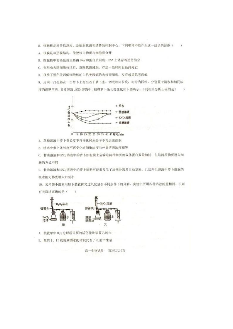 辽宁省抚顺市省重点高中六校协作体2024-2025学年高一上学期期末考试生物试卷（PDF版附答案）第3页