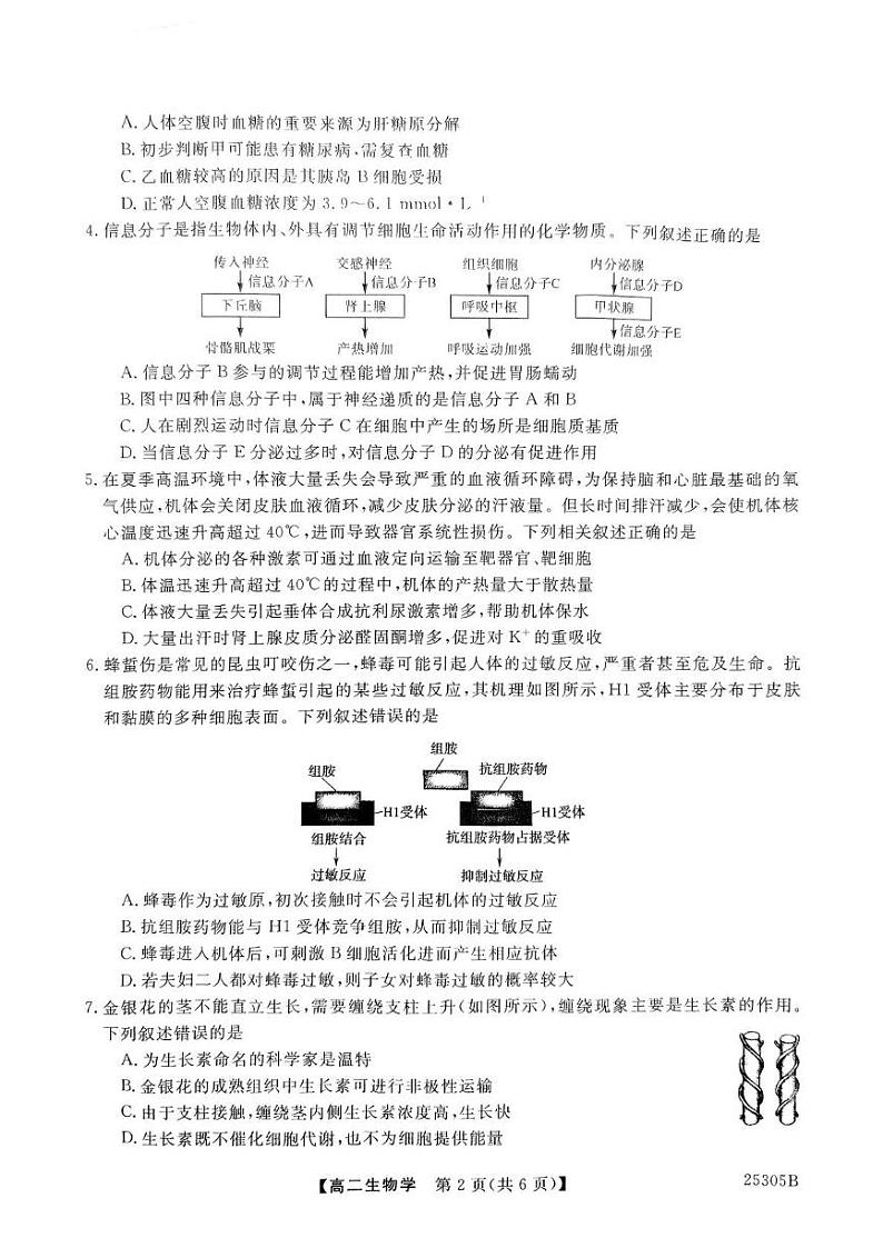 河南省新未来2024-2025学年高二上学期1月期末考试生物试卷（PDF版附解析）第2页