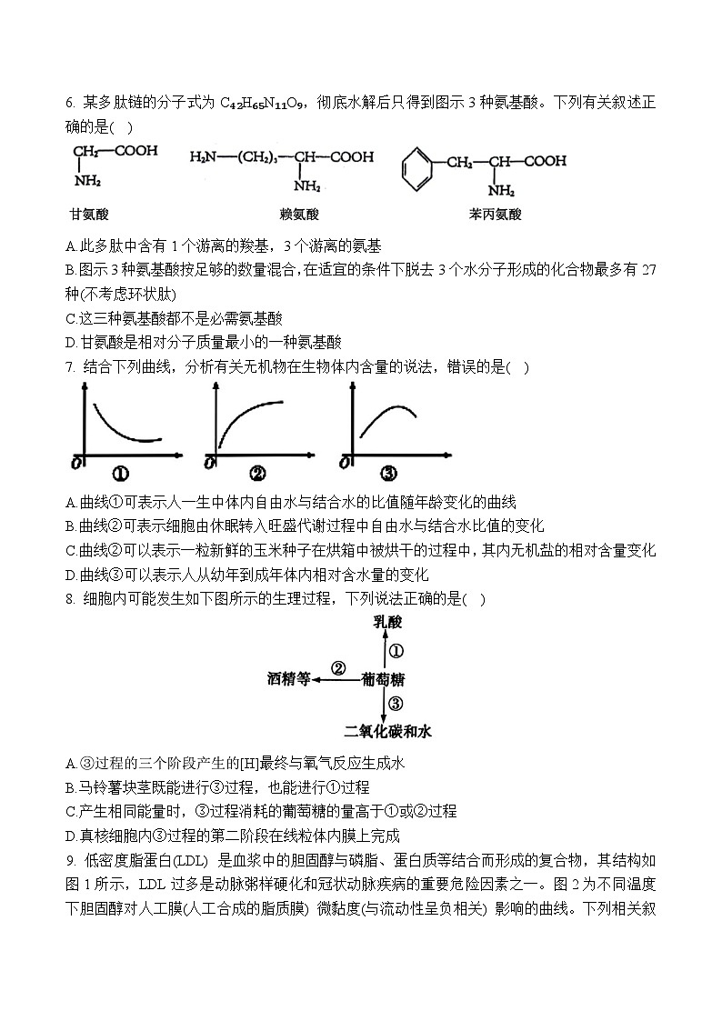 甘肃省兰州第一中学2024-2025学年高一上学期12月月考生物试卷第2页