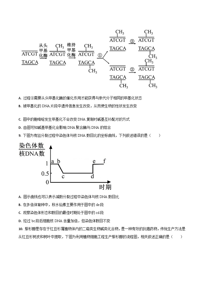 吉林省梅河口市第五中学2025届高三上学期期末考试生物试卷（Word版附答案）第3页