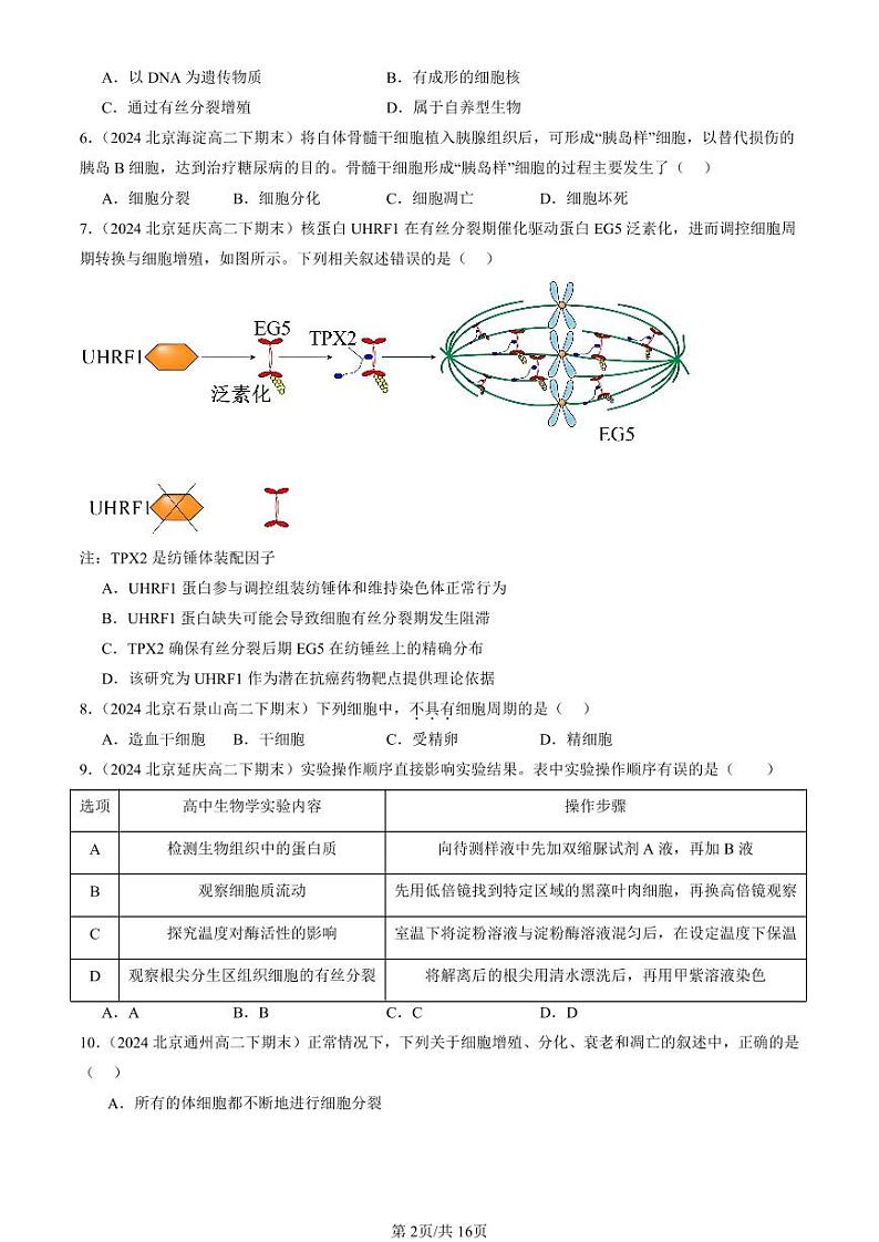 2022-2024北京重点校高二（下）期末真题生物汇编：细胞的生命历程章节综合第2页