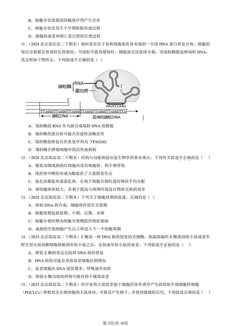 2022-2024北京重点校高二（下）期末真题生物汇编：细胞的生命历程章节综合第3页