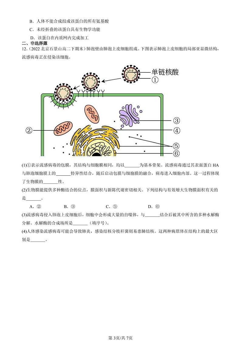 2022-2024北京重点校高二（下）期末真题生物汇编：细胞的基本结构章节综合第3页