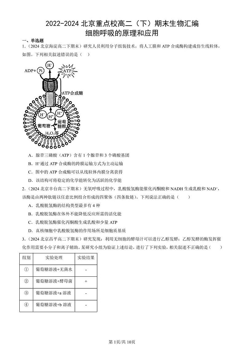 2022-2024北京重点校高二（下）期末真题生物汇编：细胞呼吸的原理和应用第1页