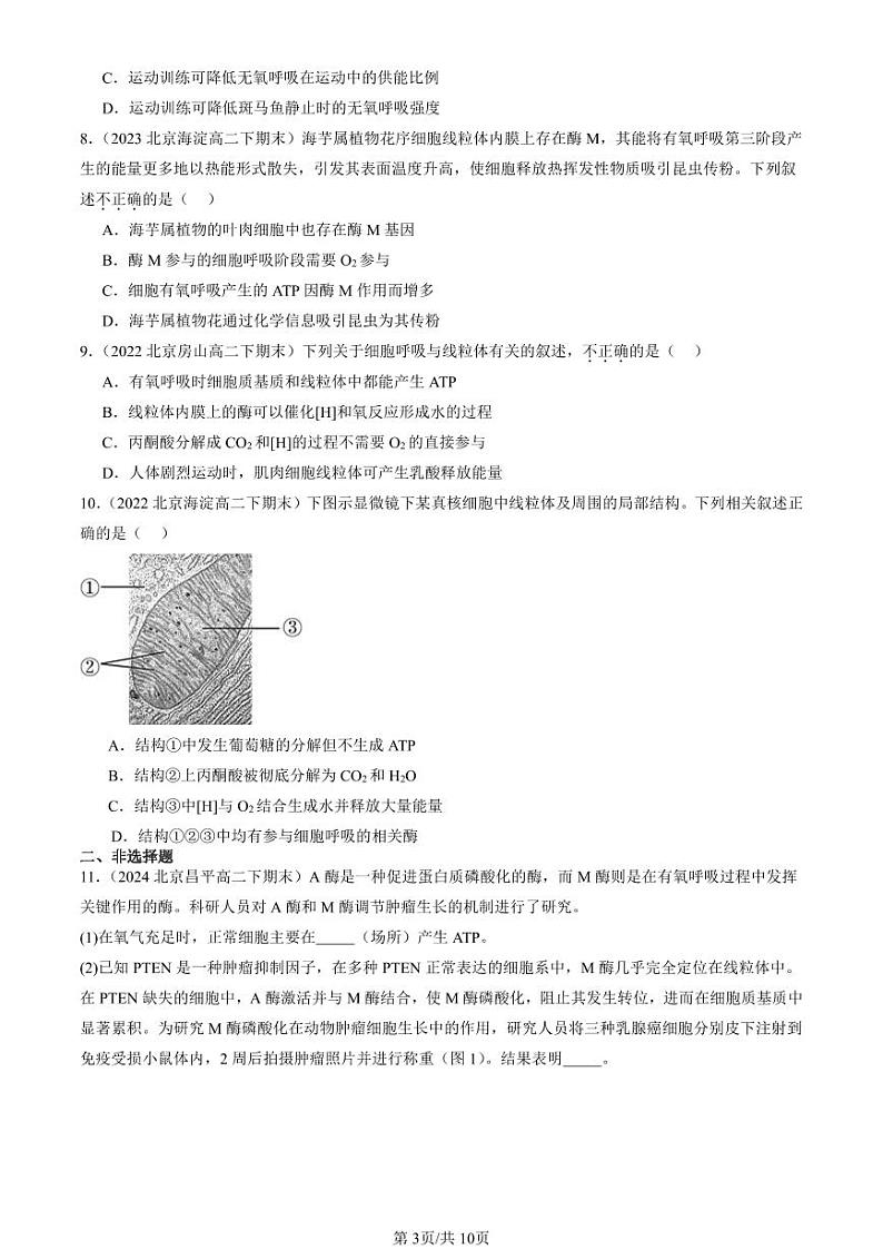 2022-2024北京重点校高二（下）期末真题生物汇编：细胞呼吸的原理和应用第3页
