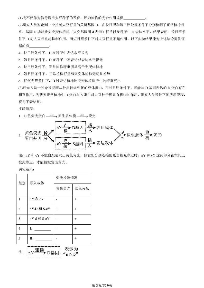 2022-2024北京重点校高二（下）期末真题生物汇编：植物生命活动的调节章节综合第3页