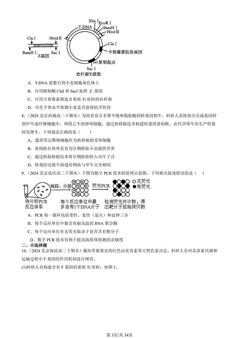 2024北京重点校高二（下）期末真题生物汇编：基因工程的基本操作程序第3页