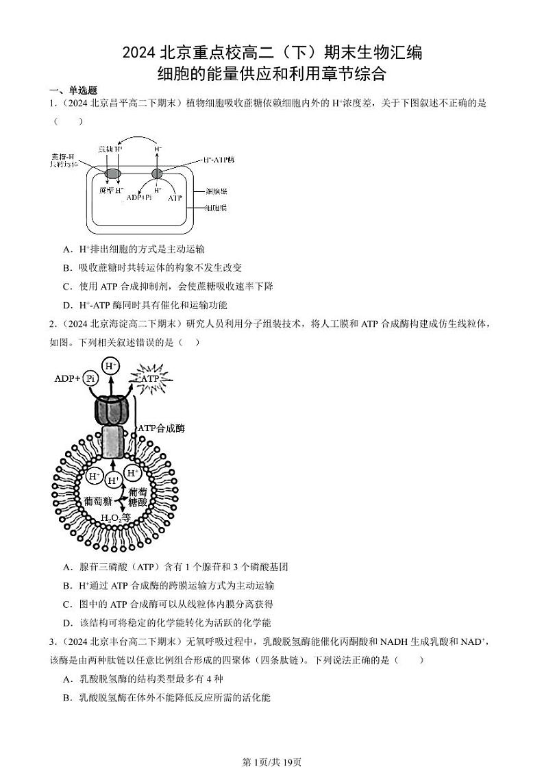 2024北京重点校高二（下）期末真题生物汇编：细胞的能量供应和利用章节综合第1页