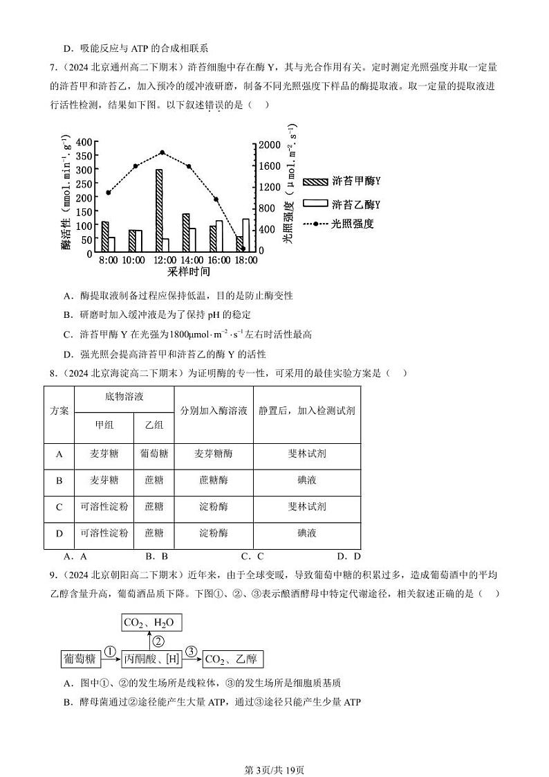 2024北京重点校高二（下）期末真题生物汇编：细胞的能量供应和利用章节综合第3页