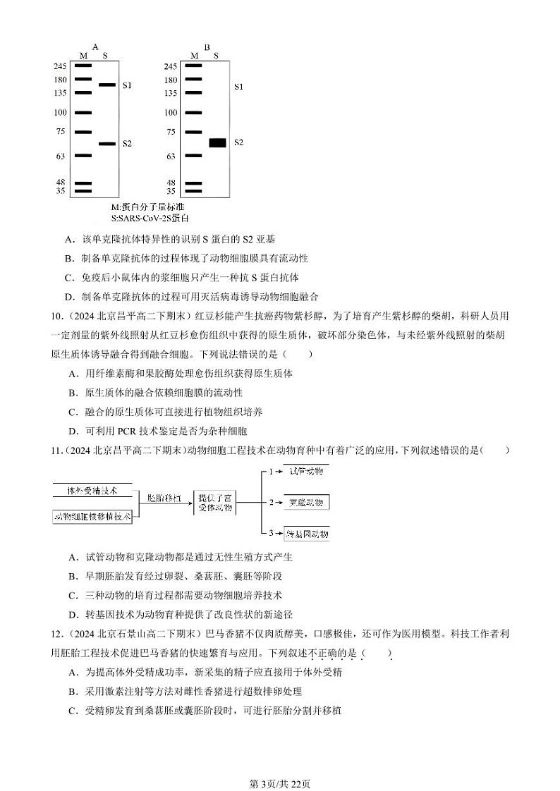2024北京重点校高二（下）期末真题生物汇编：细胞工程章节综合（选择题）第3页